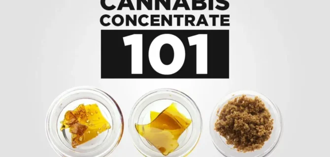 concentrates