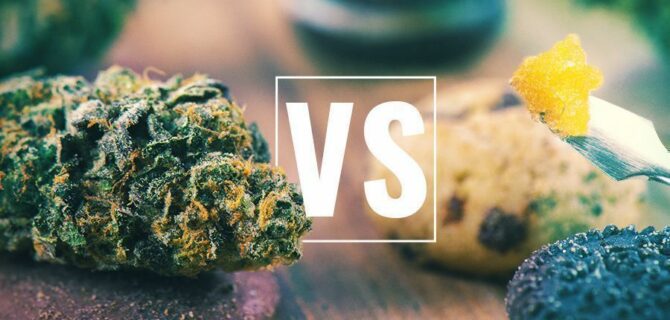 Cannabis-Flower-Versus-Edibles-Versus-Concentrates-Which-Is-Best-header-cms (1)