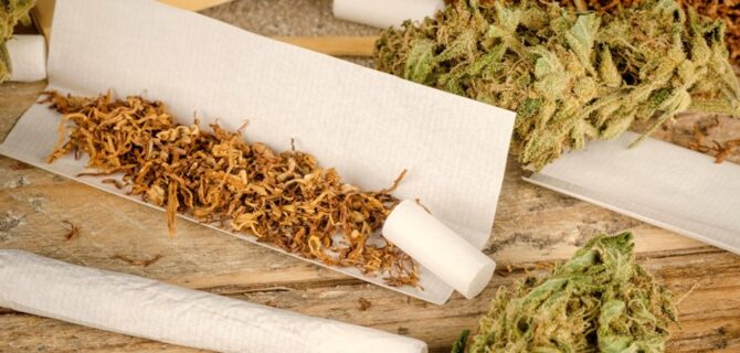 a-strange-blend-why-are-europeans-mixing-cannabis-and-tobacco (1)